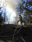 fire, Woodland Park, Colorado, wildland fire